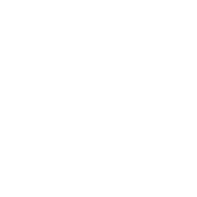 neximob-circulo